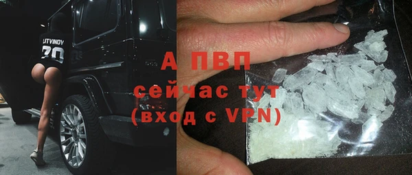2c-b Новозыбков